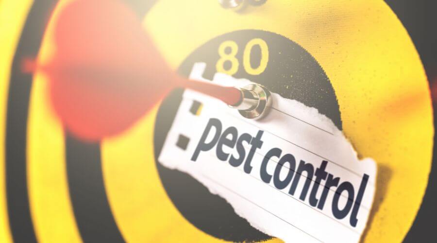 Professional pest control services in Van Alstyne
